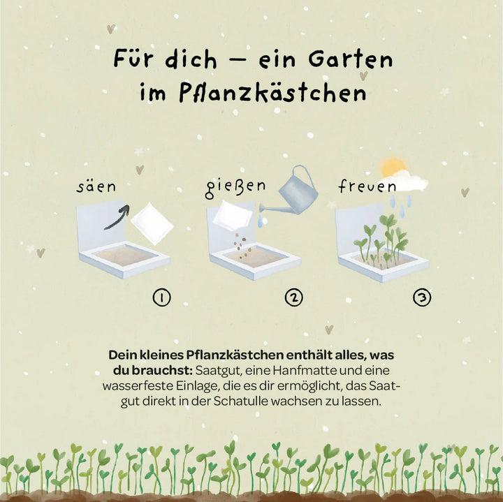 Die Stadtgärtner Pflanzkästchen - Viel Erfolg du Glückskind bei Nauli and Stories