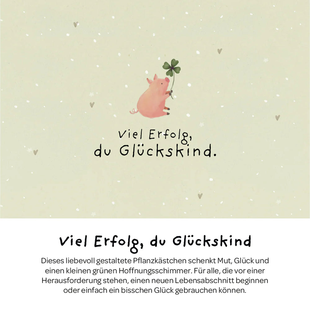 Die Stadtgärtner Pflanzkästchen - Viel Erfolg du Glückskind bei Nauli and Stories