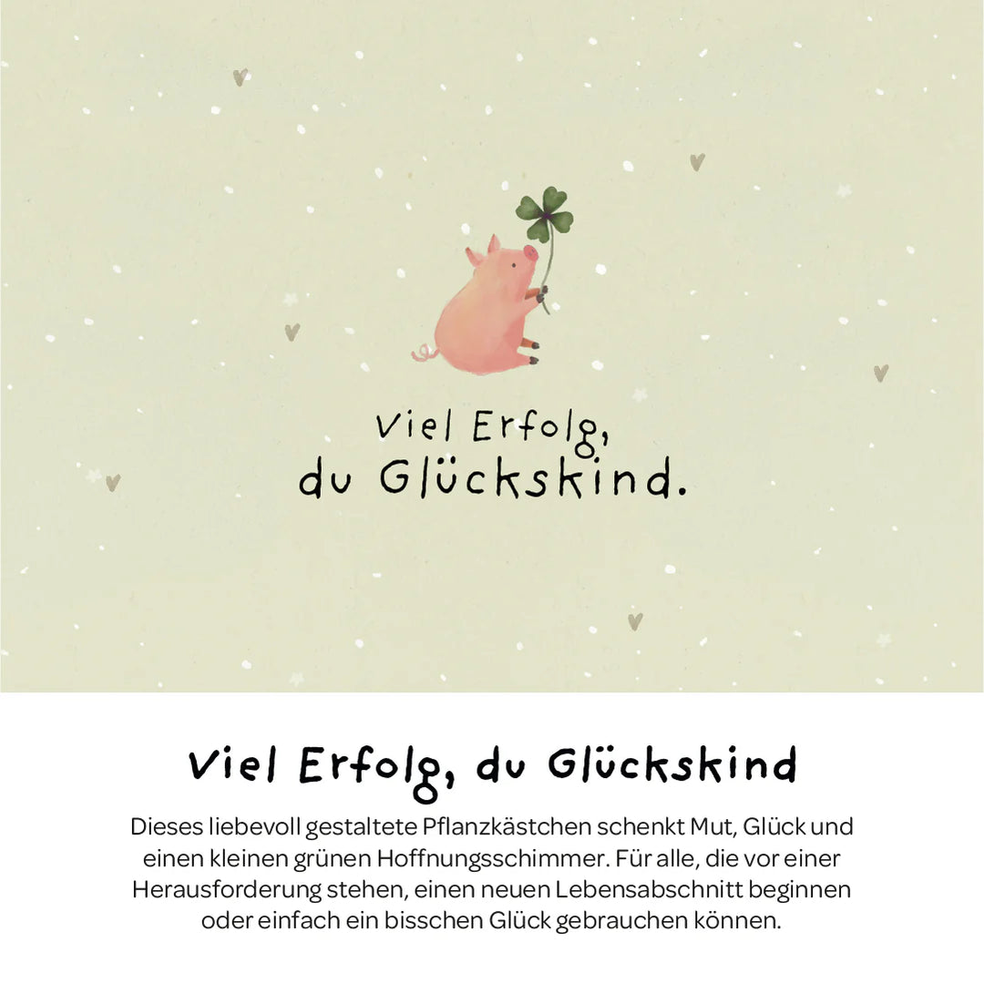 Die Stadtgärtner Pflanzkästchen - Viel Erfolg du Glückskind bei Nauli and Stories