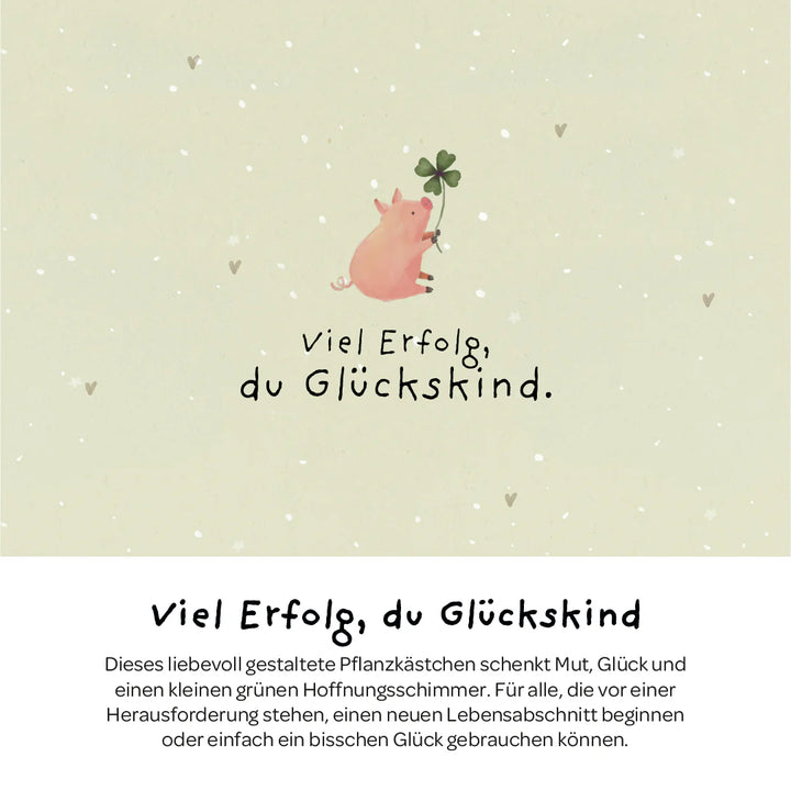 Die Stadtgärtner Pflanzkästchen - Viel Erfolg du Glückskind bei Nauli and Stories