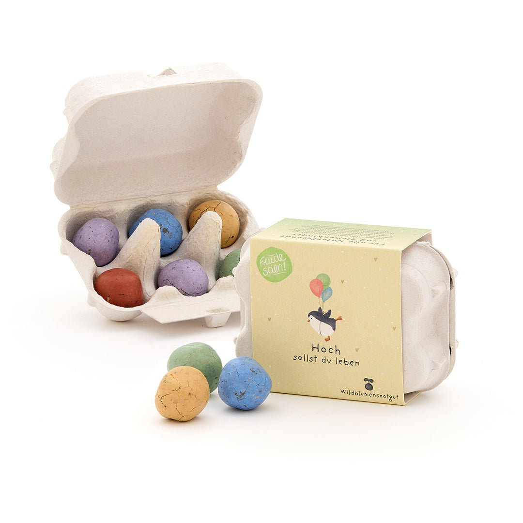 Die Stadtgärtner Saatkugeln 6 bunte Blumenmurmeln im Eierkarton "Hoch sollst du leben" bei Nauli and Stories
