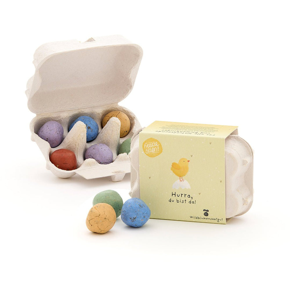 Die Stadtgärtner Saatkugeln 6 bunte Blumenmurmeln im Eierkarton "Hurra, du bist da" bei Nauli and Stories