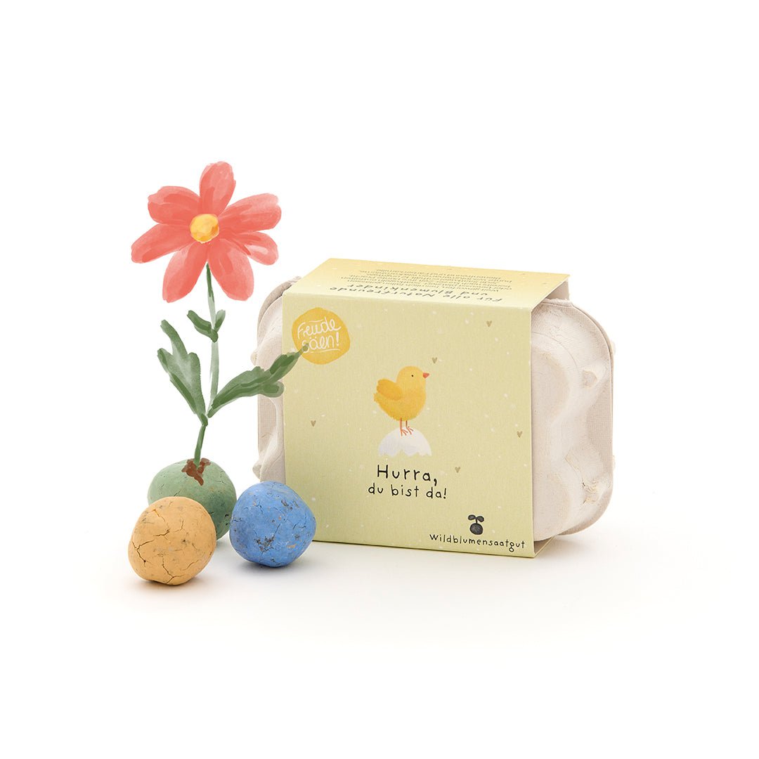 Die Stadtgärtner Saatkugeln 6 bunte Blumenmurmeln im Eierkarton "Hurra, du bist da" bei Nauli and Stories