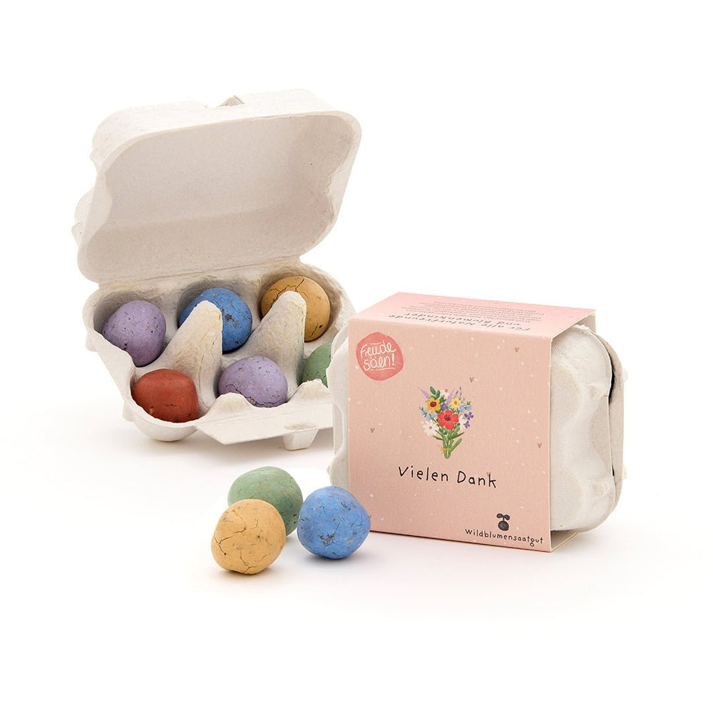 Die Stadtgärtner Saatkugeln 6 bunte Blumenmurmeln im Eierkarton "Vielen Dank" bei Nauli and Stories