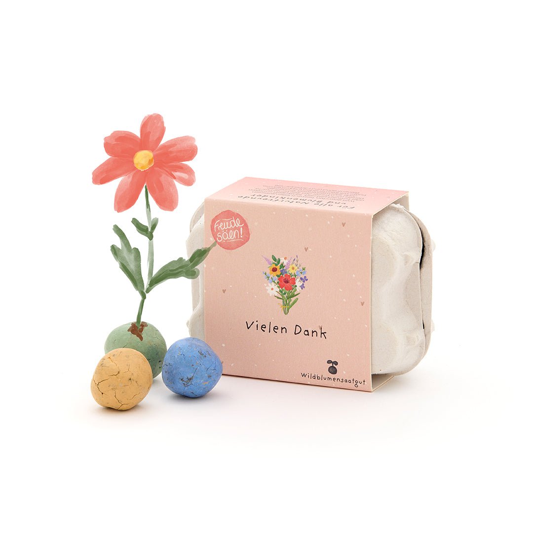 Die Stadtgärtner Saatkugeln 6 bunte Blumenmurmeln im Eierkarton "Vielen Dank" bei Nauli and Stories