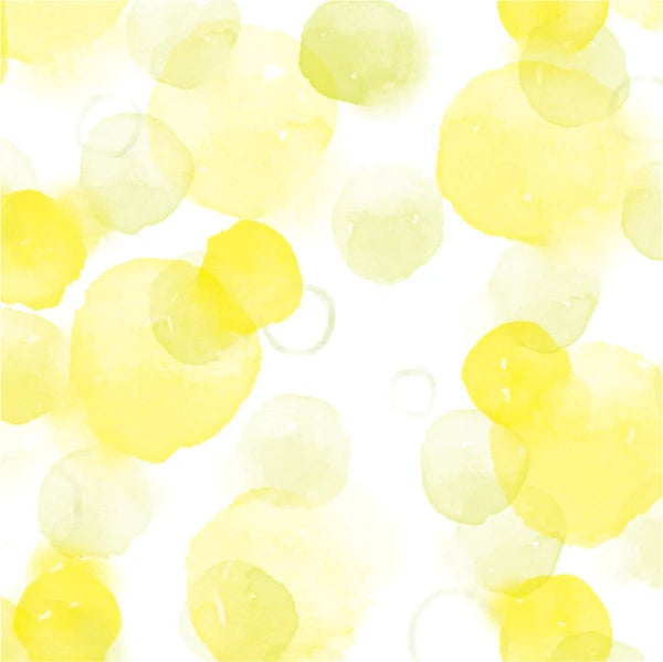 Furukawa Shiko Notizblock Memoblock buntes Washi II bei Nauli and Stories