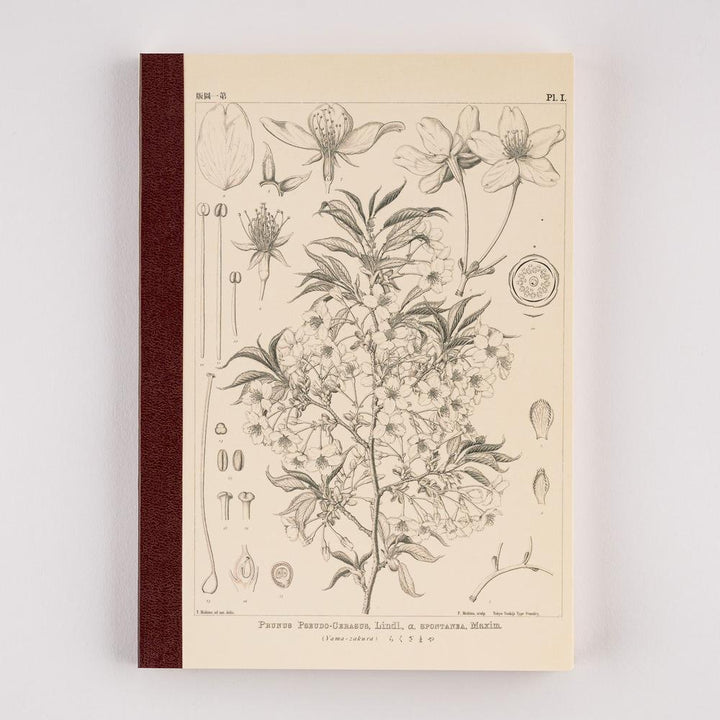Hobonichi Notizbuch A5 Tomitaro Makino: Hobonichi Graph Notebook (A5) - Yamazakura - 2027 bei Nauli and Stories