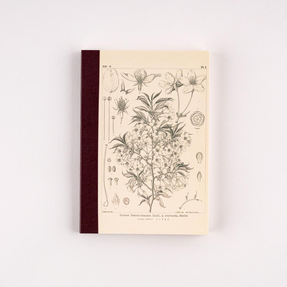Hobonichi Notizbuch DIN A6 Tomitaro Makino: Hobonichi Graph Notebook (A6) - Yamazakura - 2027 bei Nauli and Stories