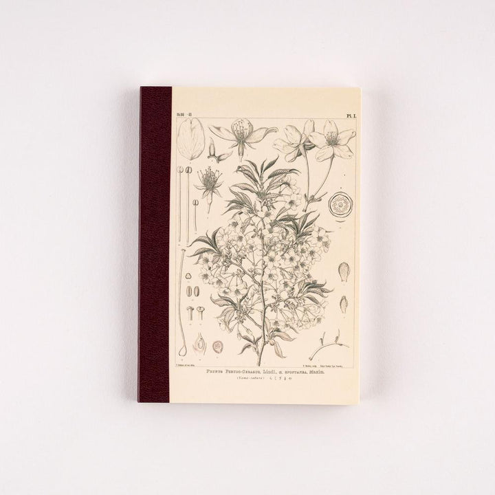 Hobonichi Notizbuch DIN A6 Tomitaro Makino: Hobonichi Graph Notebook (A6) - Yamazakura - 2027 bei Nauli and Stories