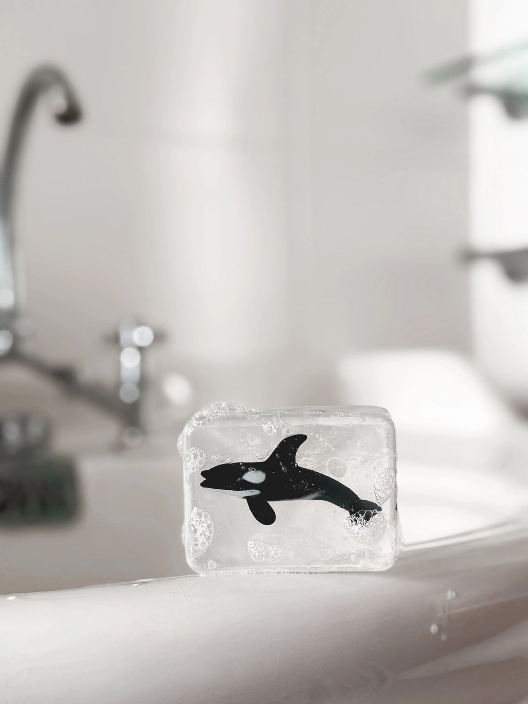 Hoya Seife | Orca bei Nauli and Stories