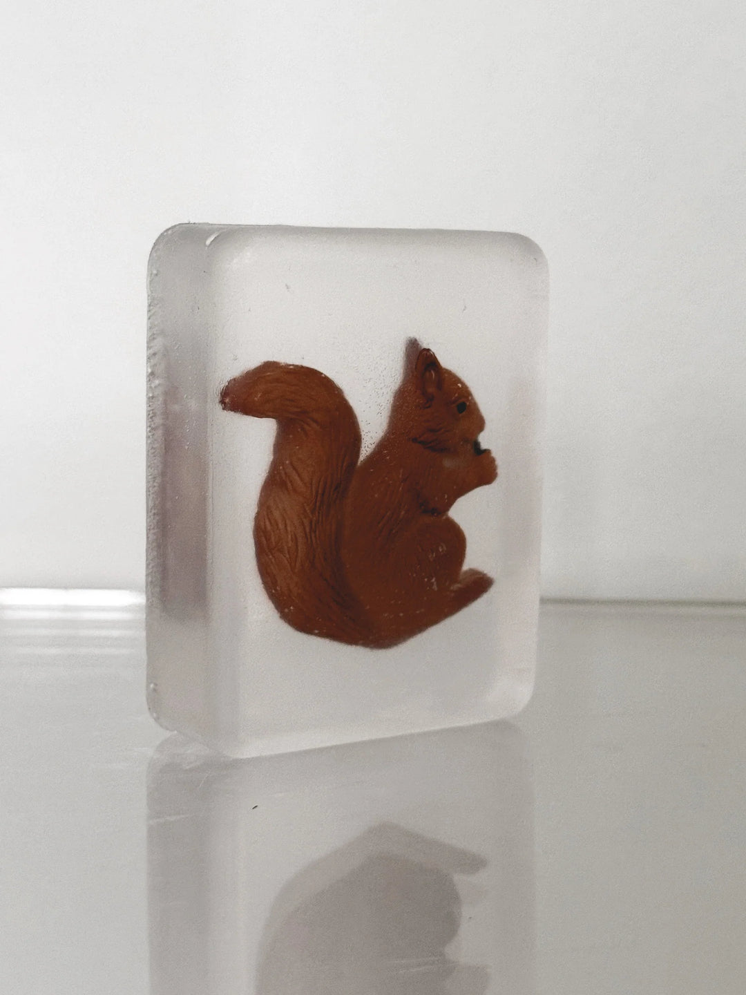 Hoya Seife Seife | Eichhörnchen bei Nauli and Stories