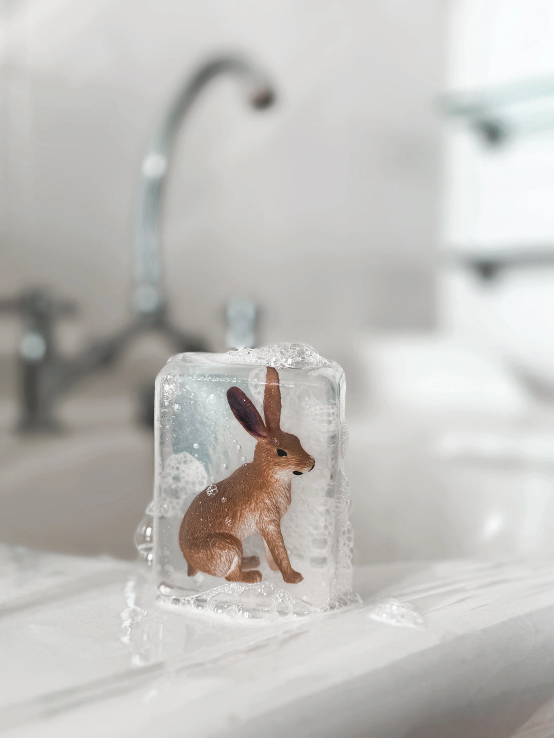 Hoya Seife Seife | Hase bei Nauli and Stories