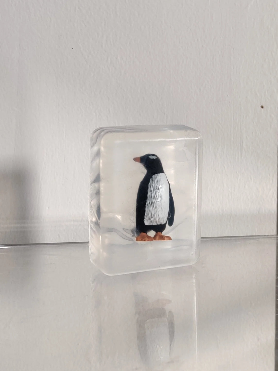 Hoya Seife Seife | Pinguin 5 bei Nauli and Stories