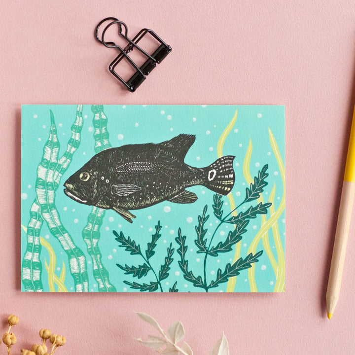 Katja Rub Tier Fisch Postkarte