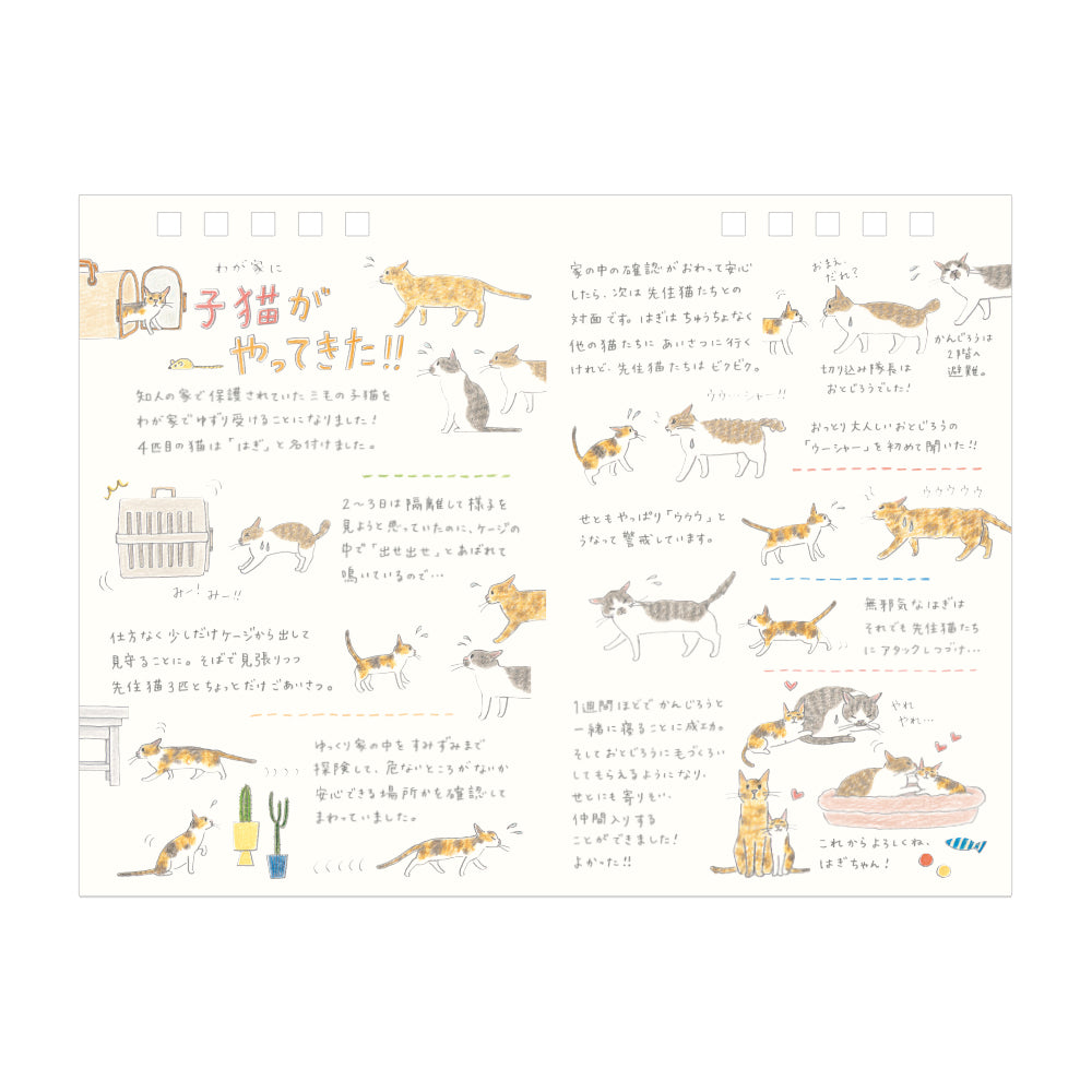 Midori 2026 Calendar Ring M Cat bei Nauli and Stories