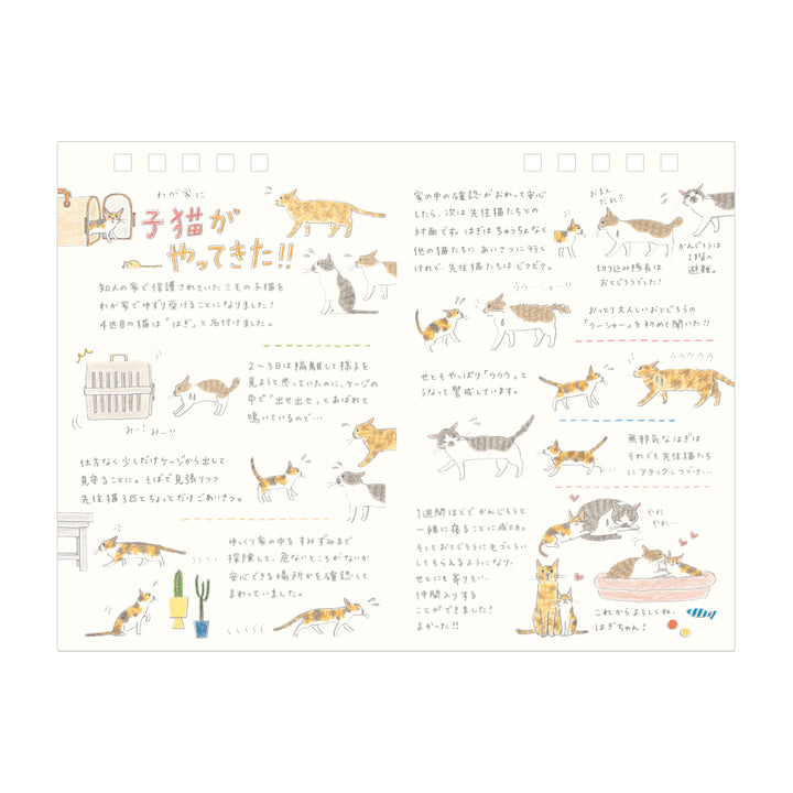 Midori 2026 Calendar Ring M Cat bei Nauli and Stories