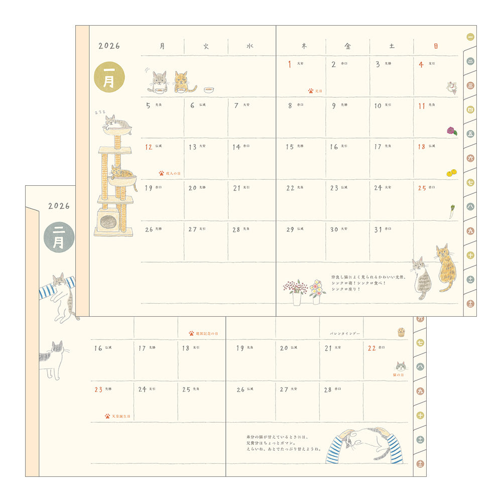 Midori 2026 Pocket Diary B6 Cat bei Nauli and Stories