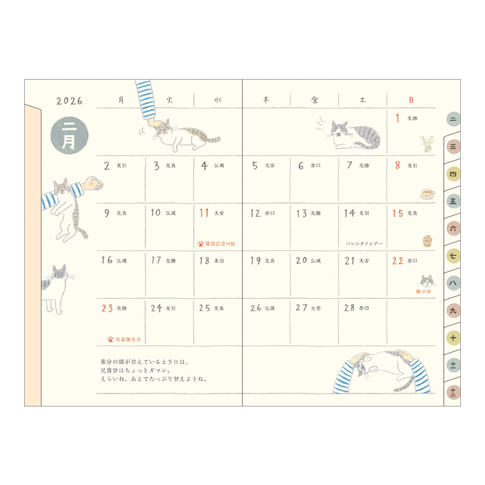 Midori 2026 Pocket Diary Mini Cat bei Nauli and Stories