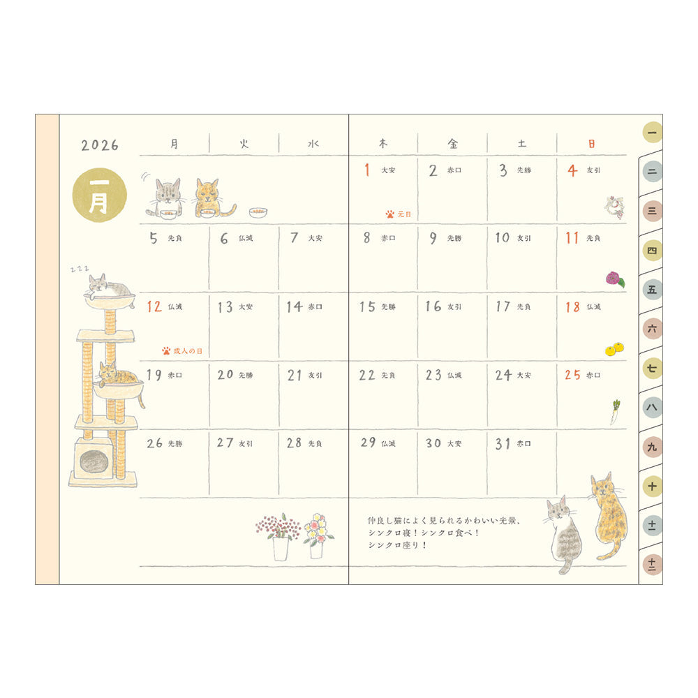 Midori 2026 Pocket Diary Mini Cat bei Nauli and Stories