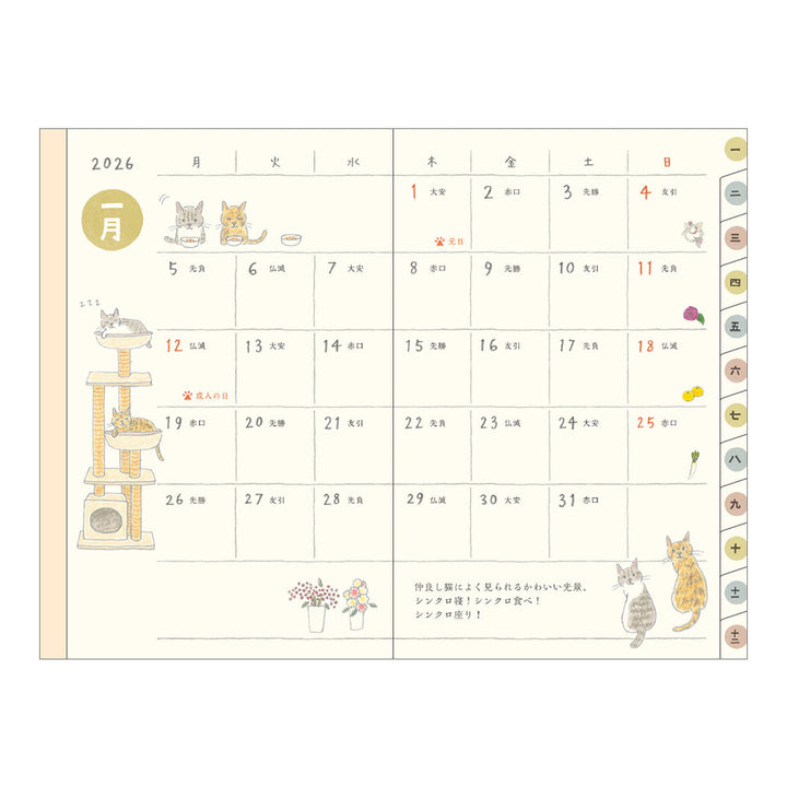 Midori 2026 Pocket Diary Mini Cat bei Nauli and Stories