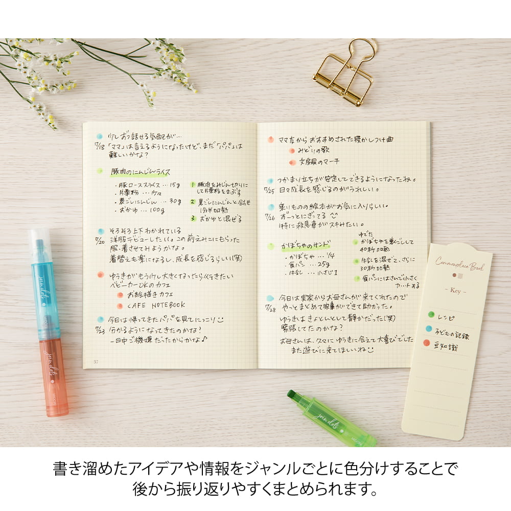 Midori Filzstifte Connecting Pen Join Dots Bright