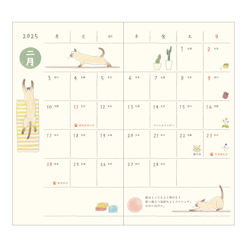 Midori Kalender Pocket Diary B6 Cat 2025