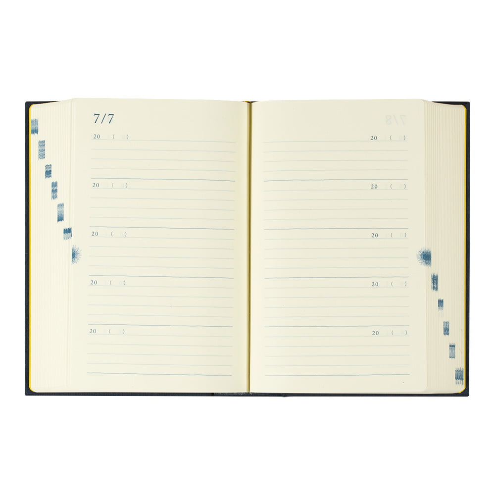 Midori Tagebuch Daily Diary 10 Years Blue Gate