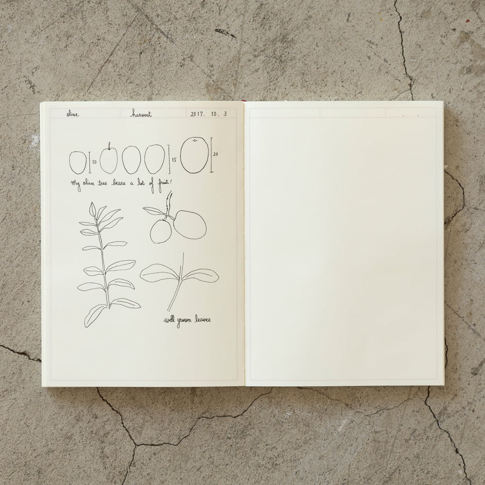 Nauli  MD Notebook Journal A5 Frame bei Nauli and Stories