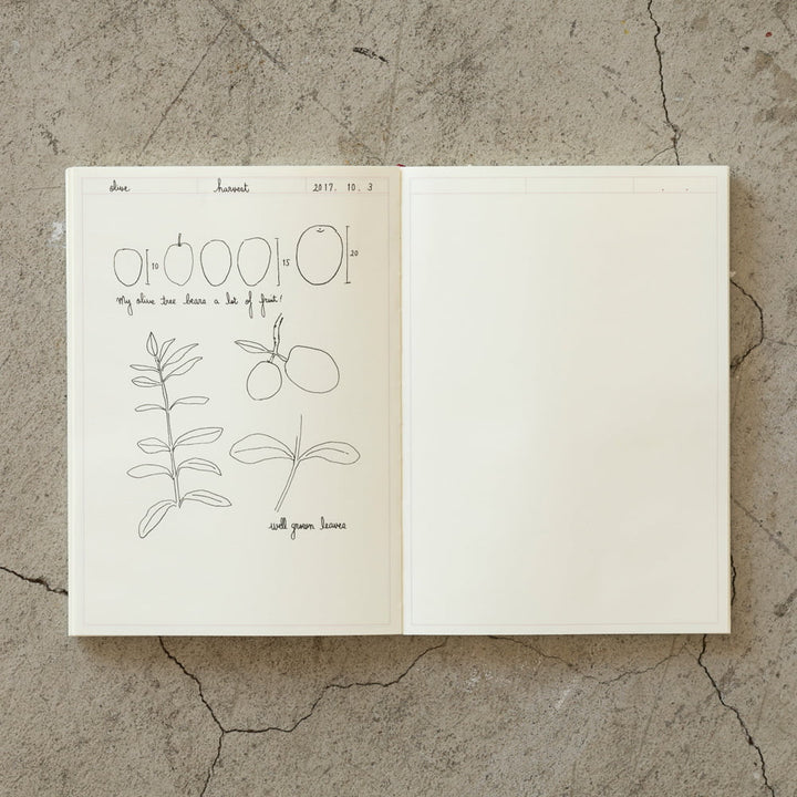 Nauli  MD Notebook Journal A5 Frame bei Nauli and Stories
