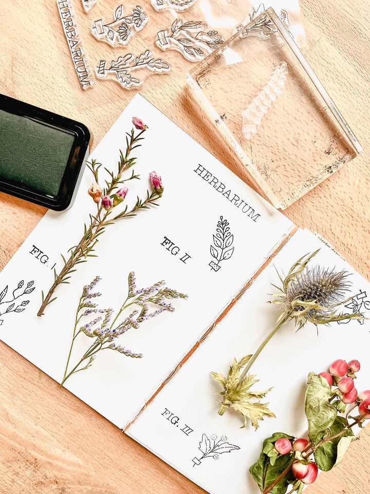 Nikki Dotti Stempel Stamp set - Herbarium