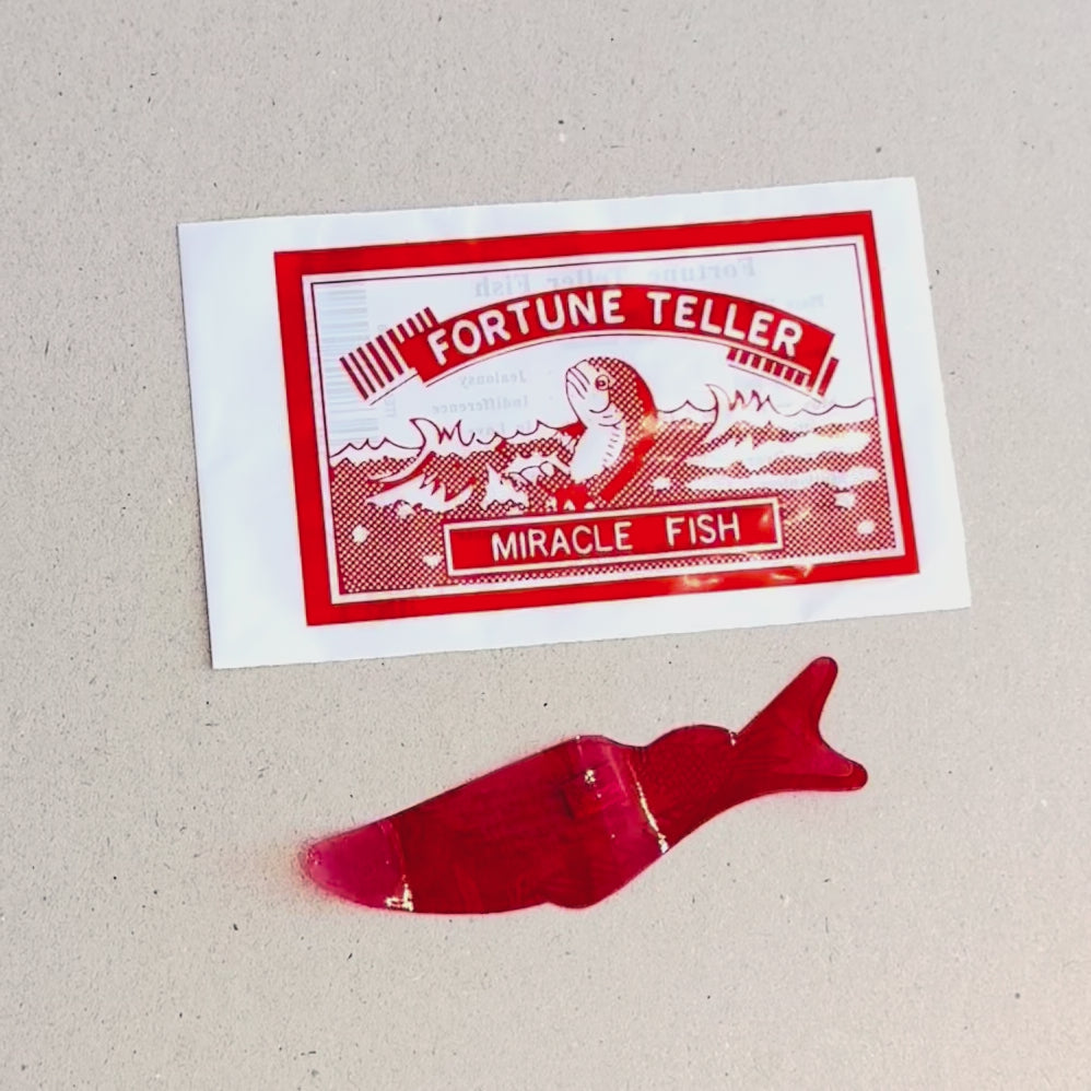 Fortune Teller Fish - Der wahrsagende Fisch