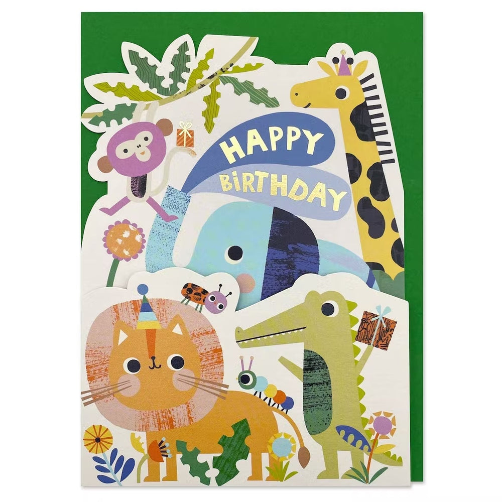 Raspberry Blossom Geburtskarte Geburtstagskarte im Leporelloformat - Happy Birthday - Have a roaring day