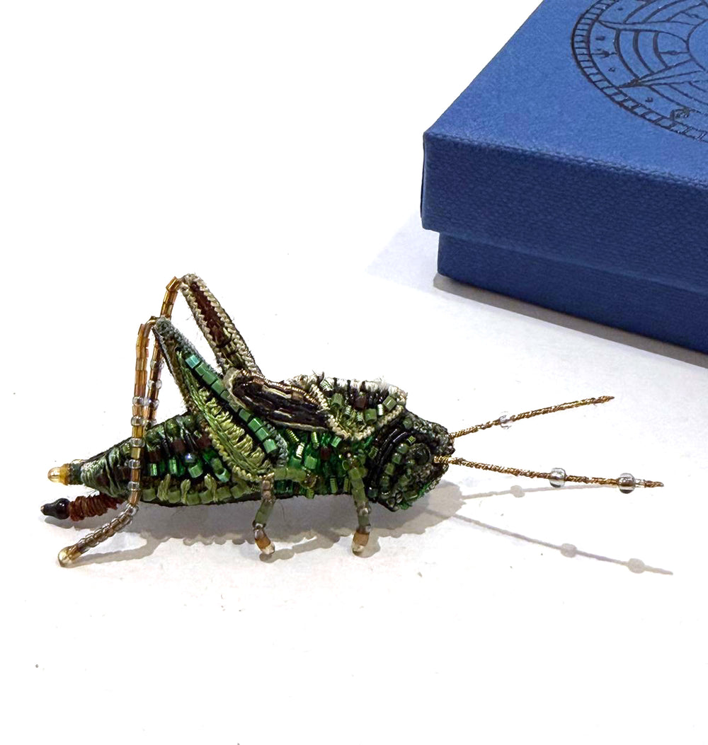 Trovelore Brosche gestickte Brosche - Wanderheuschrecke bei Nauli and Stories