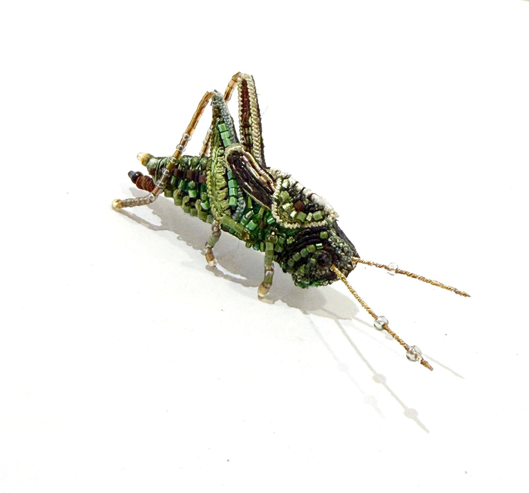 Trovelore Brosche gestickte Brosche - Wanderheuschrecke bei Nauli and Stories