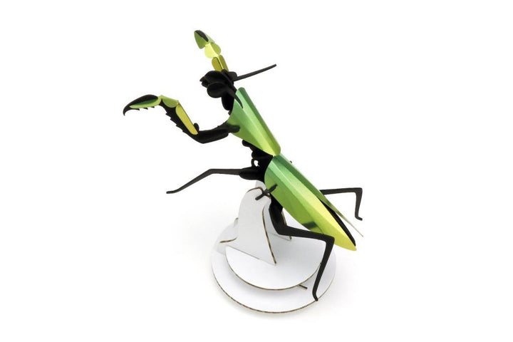 3D-Bastelset DIY-Set mango-grün DIY - Bastelset -  Set Gottesanbeterin aus Papier