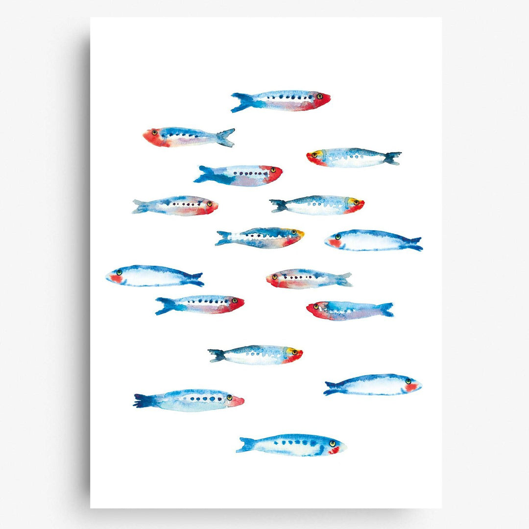 Farina Kuklinski Poster Sardinen Fische - Poster DIN A4