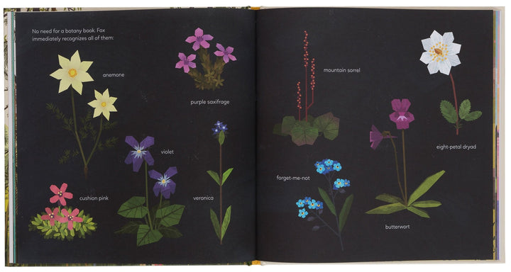 Gestalten Bilderbuch The Mistery Of The Golden Wonderflower