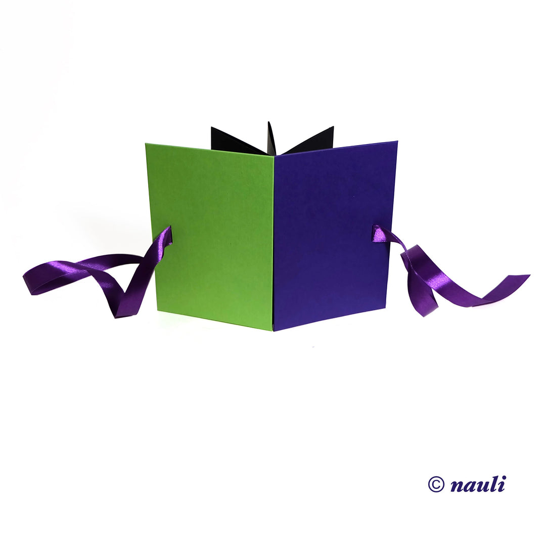 Nauli Leporello Leporello / Foto Faltbuch Blockfarben apfelgrün und lila