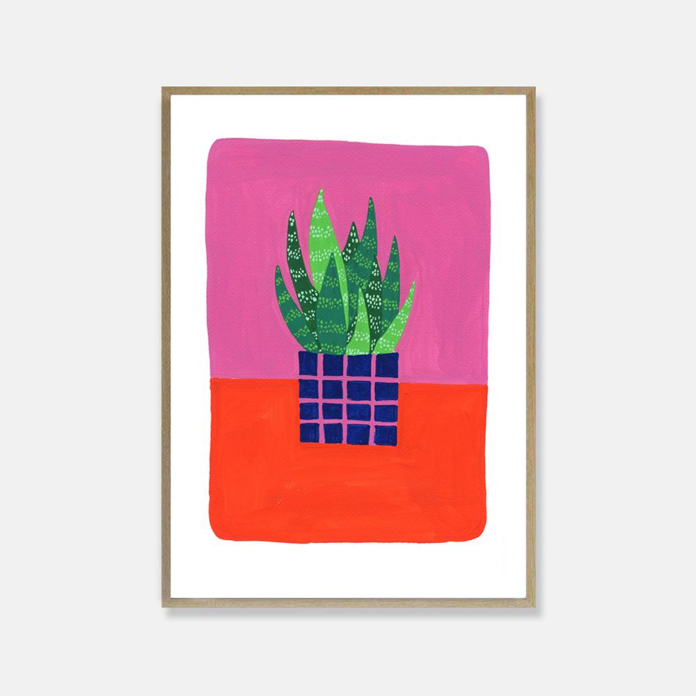 Pink Cloud Studio Kunstdruck Kunstdruck A4 Aloe Vera Pflanze