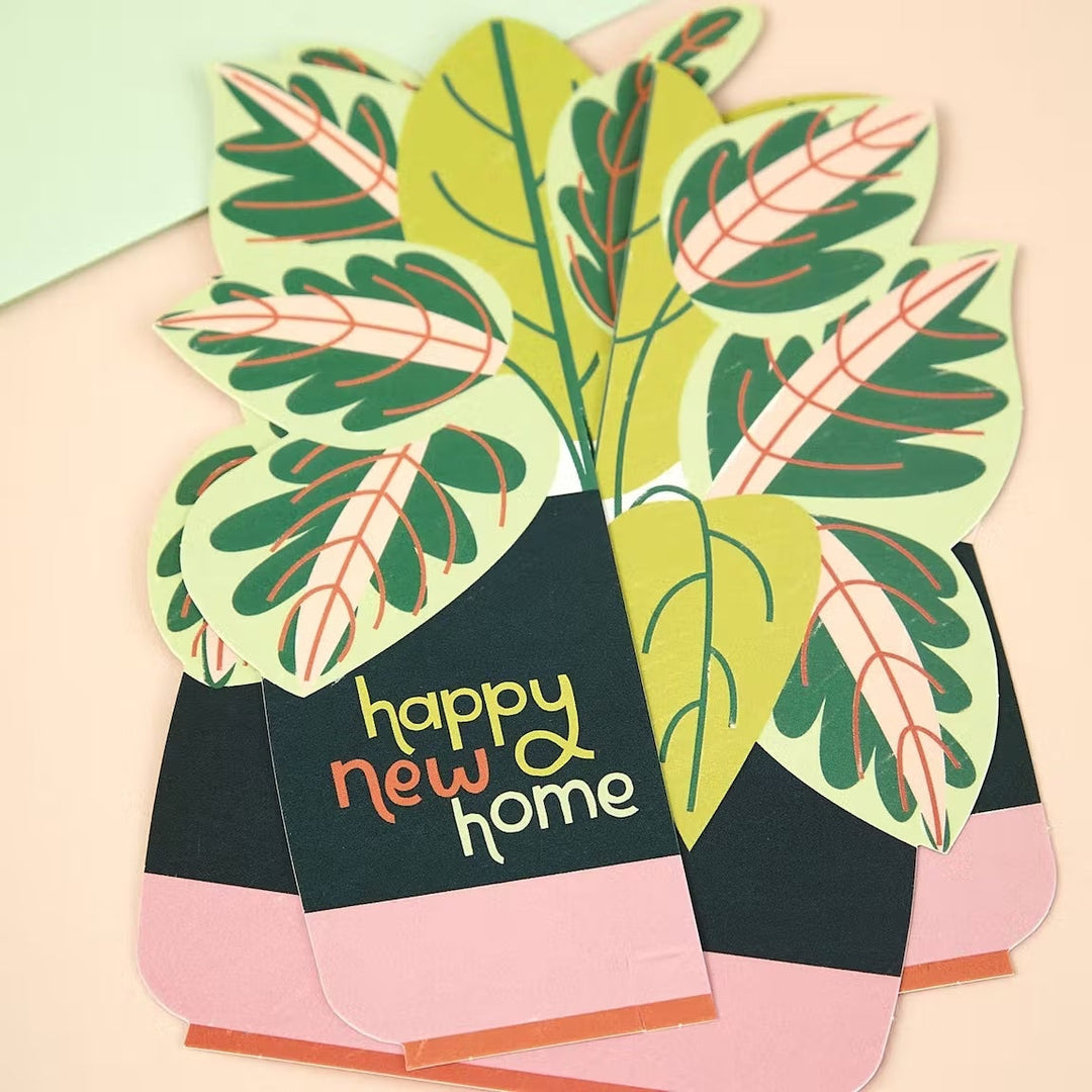 Raspberry Blossom Geburtstagskarte 3D-Fold-Out-Grußkarte - Happy New Home - Pflanze