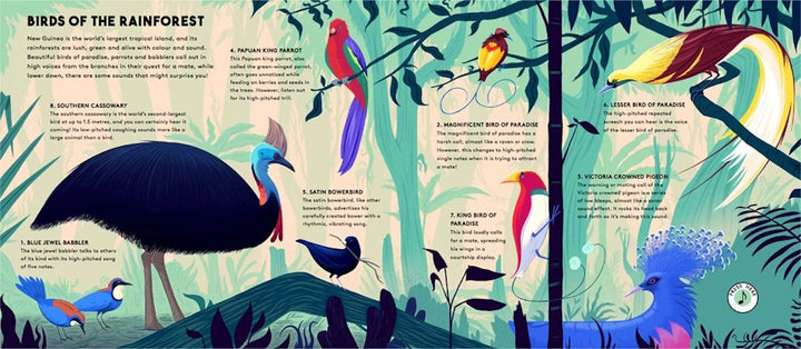 Wide Eyed Editions Bilderbuch WORLD OF BIRDS - Sounds of Nature